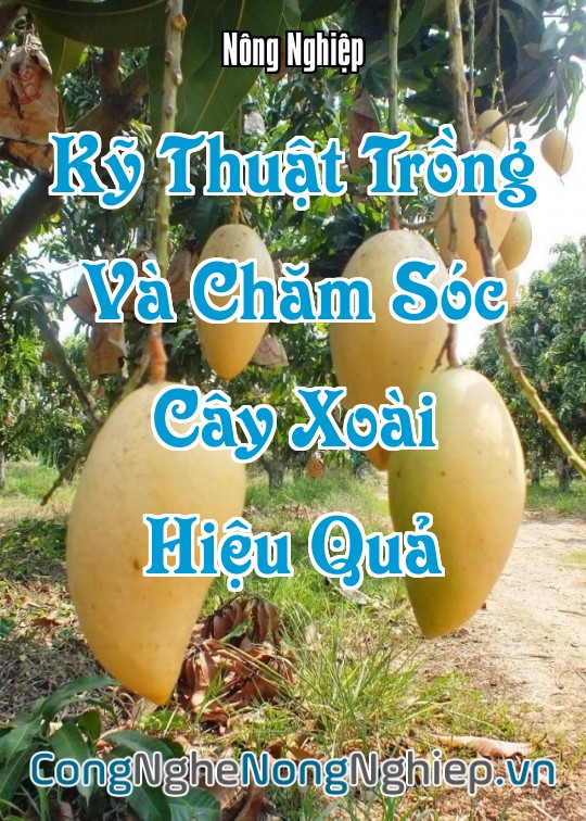 Ảnh bìa sách Kỹ Thuật Trồng Và Chăm Sóc Cây Xoài Hiệu Quả