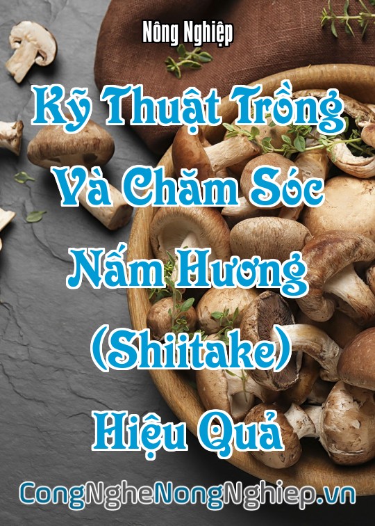 Ảnh bìa sách Kỹ Thuật Trồng Và Chăm Sóc Nấm Hương (Shiitake) Hiệu Quả
