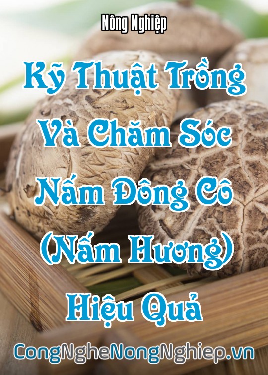 Ảnh bìa sách Kỹ Thuật Trồng Và Chăm Sóc Nấm Đông Cô (Nấm Hương) Hiệu Quả