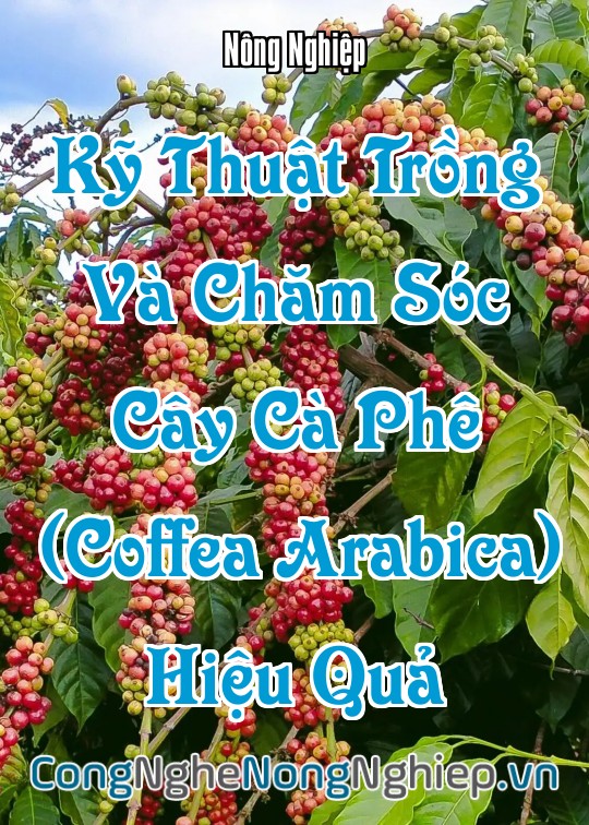 Ảnh bìa sách Kỹ Thuật Trồng Và Chăm Sóc Cây Cà Phê (Coffea Arabica/canephora) Hiệu Quả
