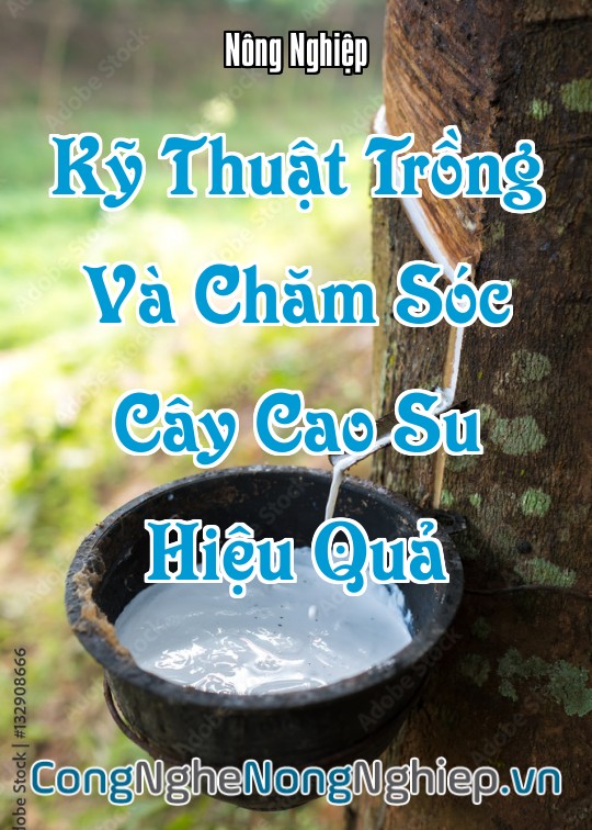 Ảnh bìa sách Kỹ Thuật Trồng Và Chăm Sóc Cây Cao Su (Hevea Brasiliensis) Hiệu Quả