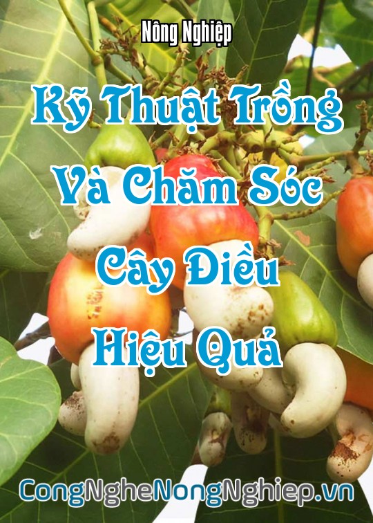 Ảnh bìa sách Kỹ Thuật Trồng Và Chăm Sóc Cây Điều (Anacardium Occidentale) Hiệu Quả