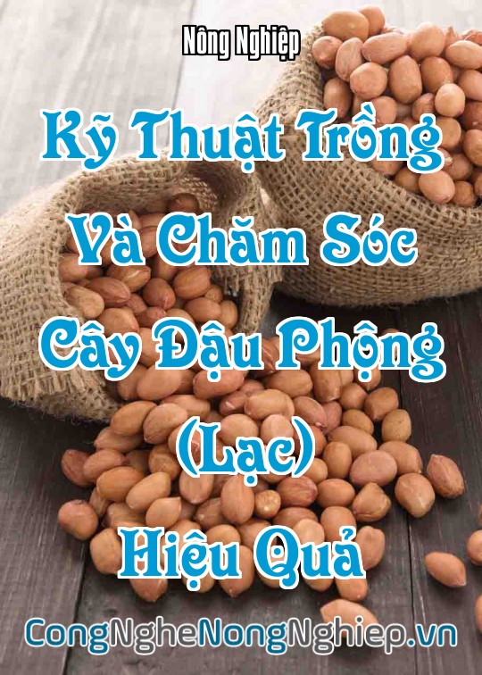 Ảnh bìa sách Kỹ Thuật Trồng Và Chăm Sóc Cây Đậu Phộng (Lạc) Hiệu Quả