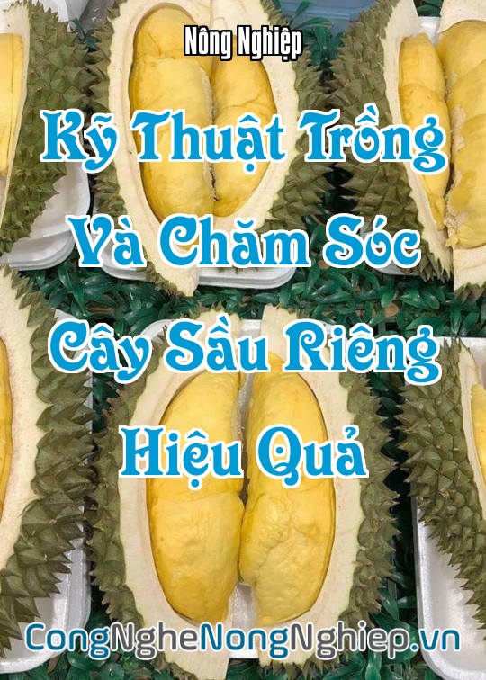 Ảnh bìa sách Kỹ Thuật Trồng Và Chăm Sóc Cây Sầu Riêng Hiệu Quả