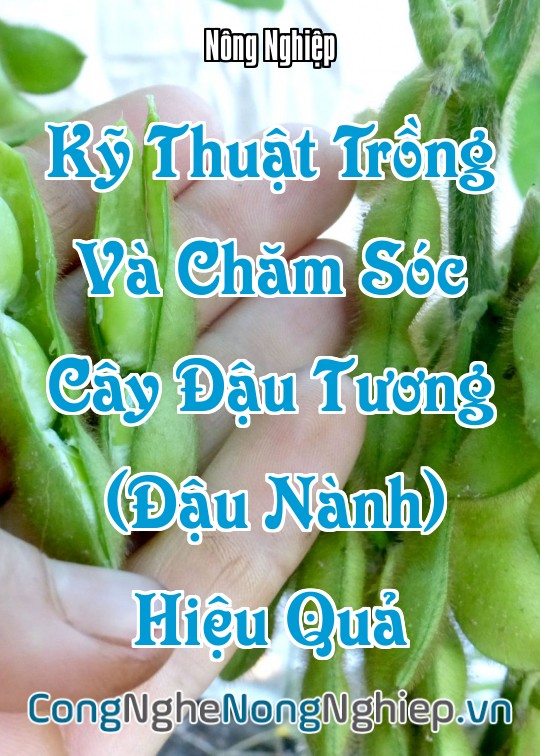 Ảnh bìa sách Kỹ Thuật Trồng Và Chăm Sóc Cây Đậu Tương (Đậu Nành) Hiệu Quả