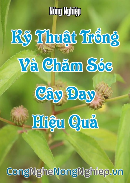 Ảnh bìa sách Kỹ Thuật Trồng Và Chăm Sóc Cây Đay (Corchorus Olitorius/capsularis) Hiệu Quả