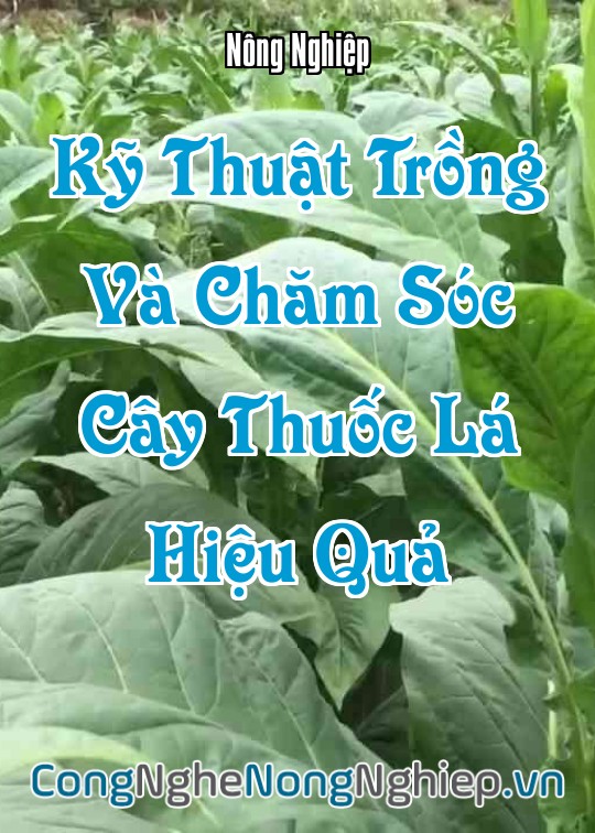 Ảnh bìa sách Kỹ Thuật Trồng Và Chăm Sóc Cây Thuốc Lá (Nicotiana Tabacum) Hiệu Quả