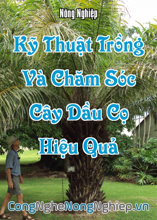 Ảnh bìa sách Kỹ Thuật Trồng Và Chăm Sóc Cây Dầu Cọ (Elaeis Guineensis) Hiệu Quả