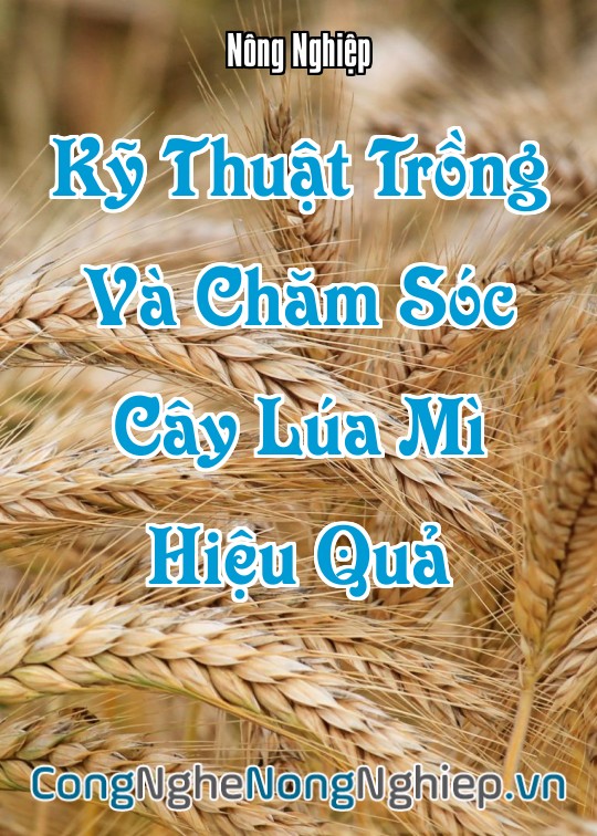 Ảnh bìa sách Kỹ Thuật Trồng Và Chăm Sóc Cây Lúa Mì (Triticum Aestivum) Hiệu Quả