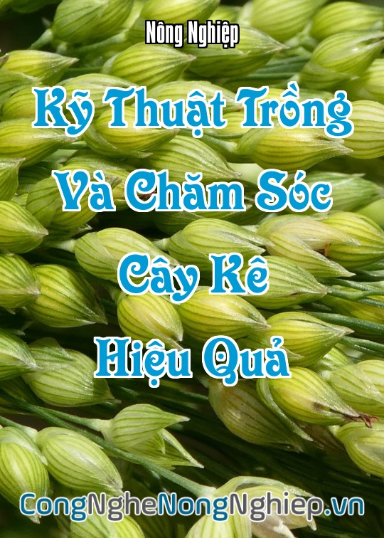 Ảnh bìa sách Kỹ Thuật Trồng Và Chăm Sóc Cây Kê (Panicum Miliaceum) Hiệu Quả
