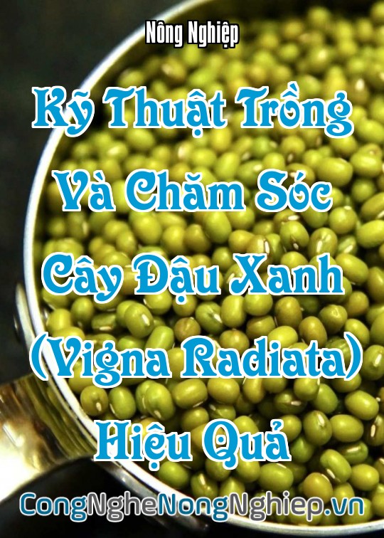 Ảnh bìa sách Kỹ Thuật Trồng Và Chăm Sóc Cây Đậu Xanh (Vigna Radiata) Hiệu Quả
