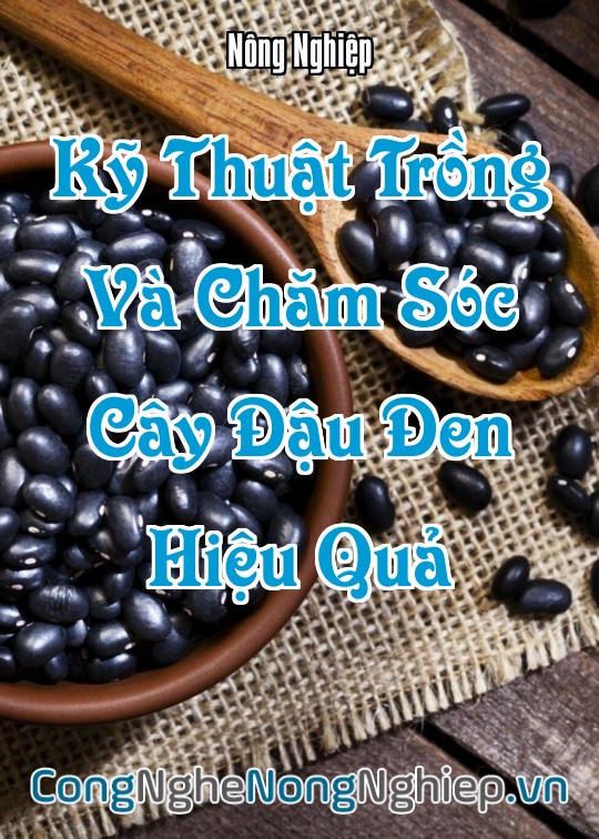 Ảnh bìa sách Kỹ Thuật Trồng Và Chăm Sóc Cây Đậu Đen (Vigna Unguiculata Subsp. Cylindrica) Hiệu Quả