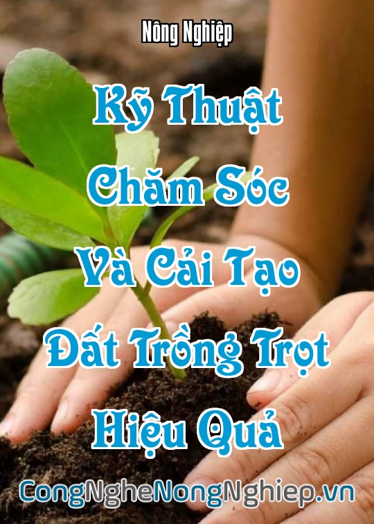 Ảnh bìa sách Kỹ Thuật Chăm Sóc Và Cải Tạo Đất Trồng Trọt Hiệu Quả