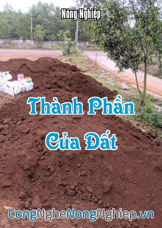 Ảnh bìa sách Thành Phần Của Đất