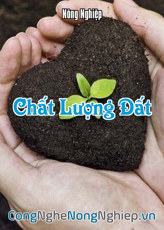 Ảnh bìa sách Chất Lượng Đất