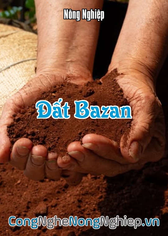 Ảnh bìa sách Đất Bazan