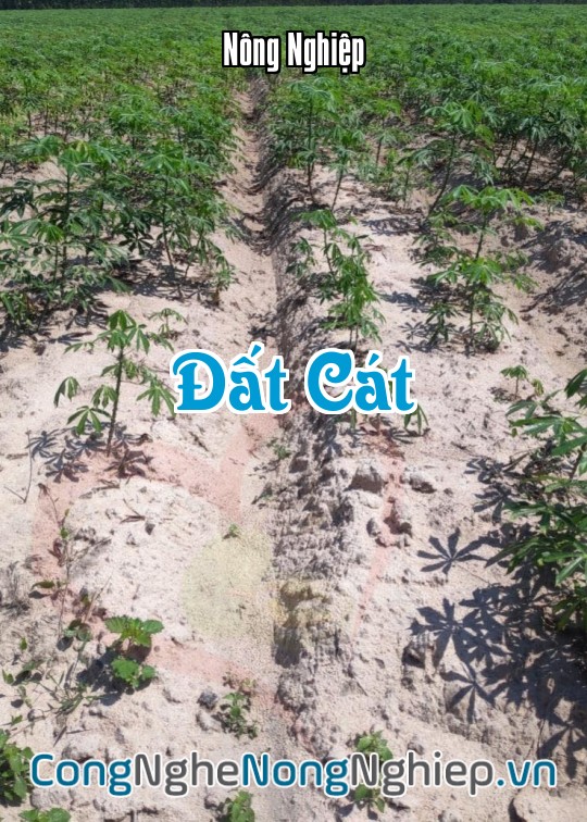 Ảnh bìa sách Đất Cát