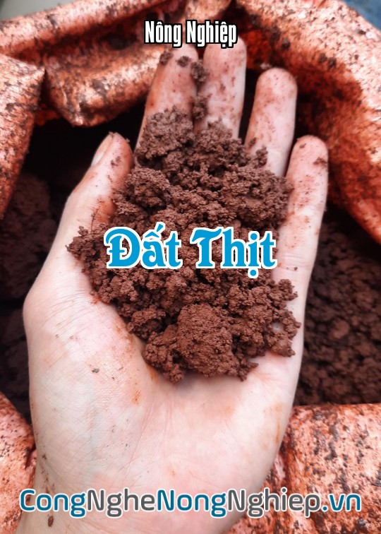 Ảnh bìa sách Đất Thịt