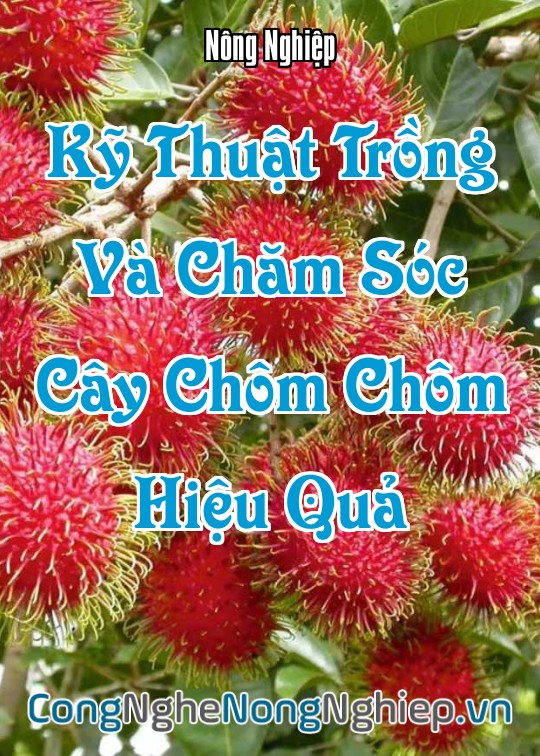 Ảnh bìa sách Kỹ Thuật Trồng Và Chăm Sóc Cây Chôm Chôm Hiệu Quả