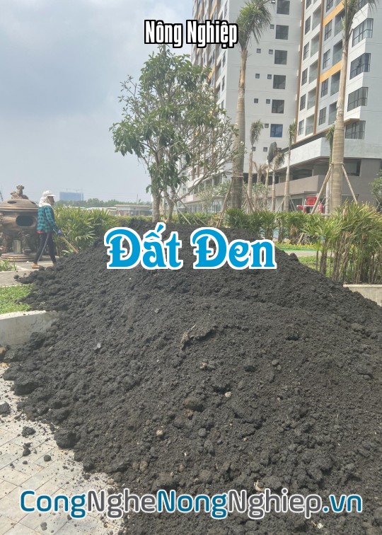 Ảnh bìa sách Đất Đen