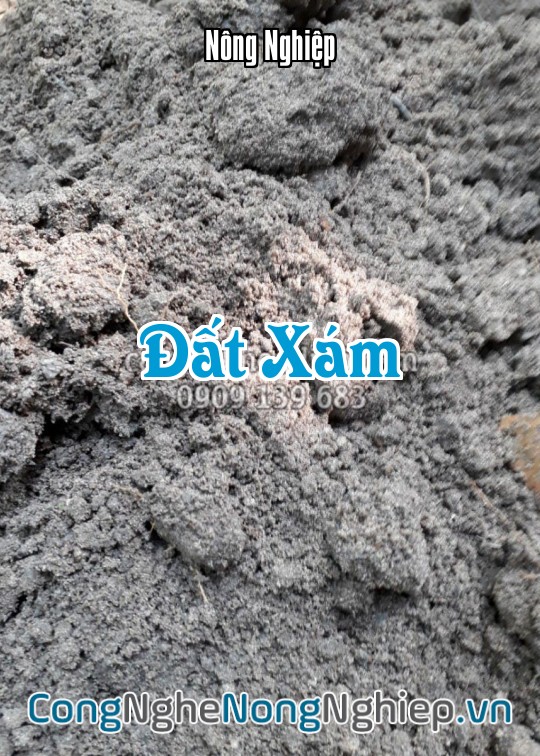 Ảnh bìa sách Đất Xám