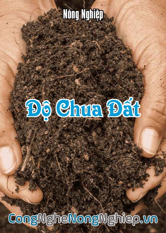 Ảnh bìa sách Độ Chua Đất