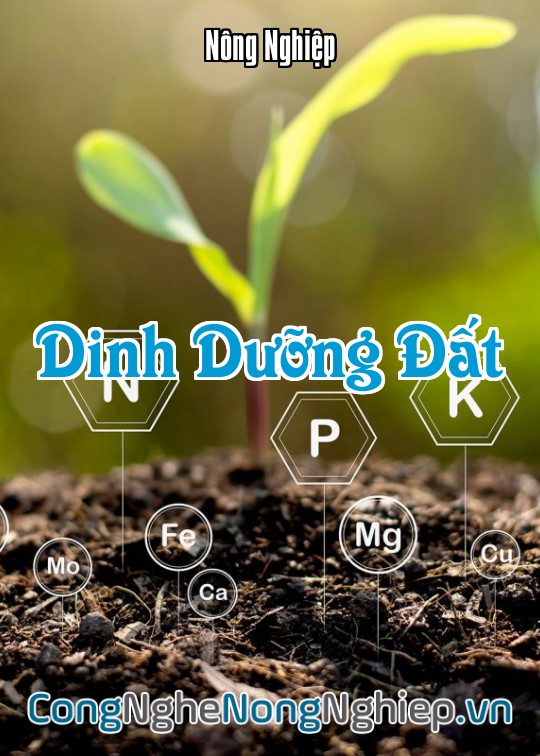 Ảnh bìa sách Dinh Dưỡng Đất