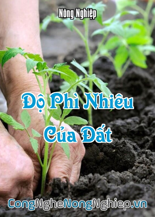 Ảnh bìa sách Độ Phì Nhiêu Của Đất