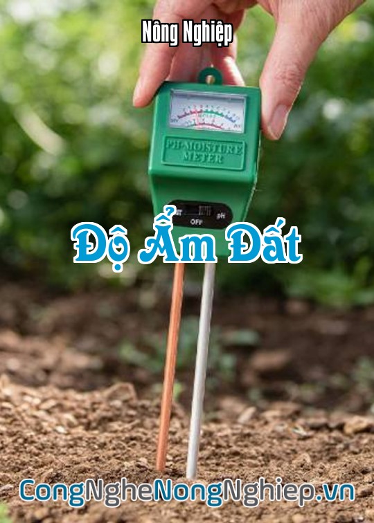 Ảnh bìa sách Độ Ẩm Đất