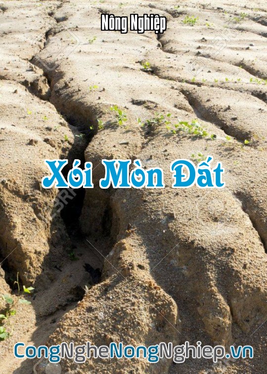 Ảnh bìa sách Xói Mòn Đất