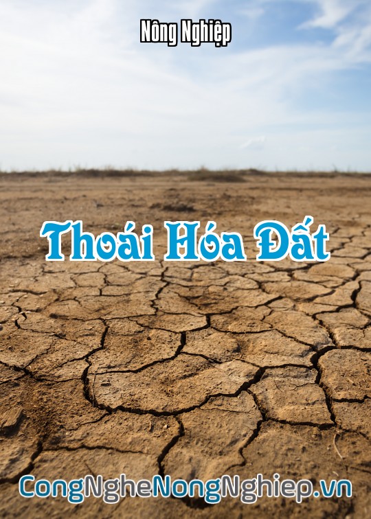Ảnh bìa sách Thoái Hóa Đất