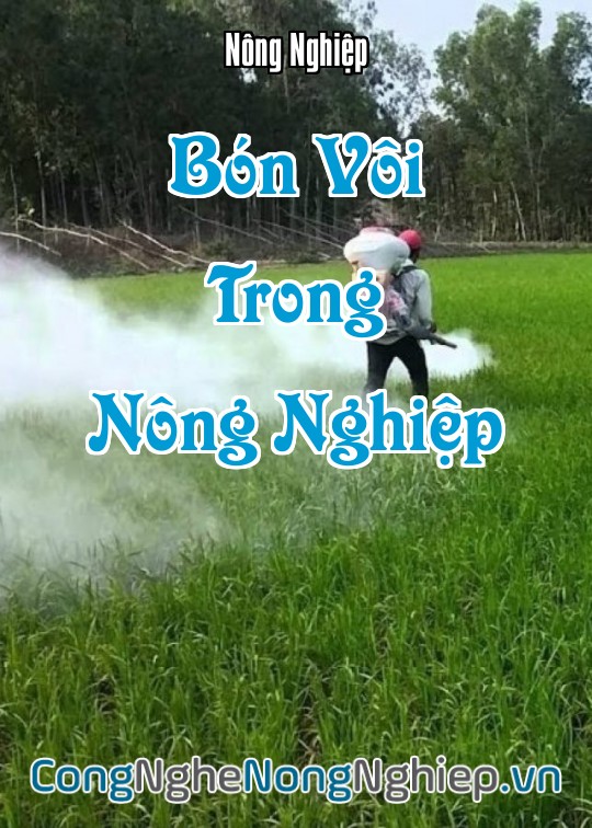 Ảnh bìa sách Bón Vôi Trong Nông Nghiệp