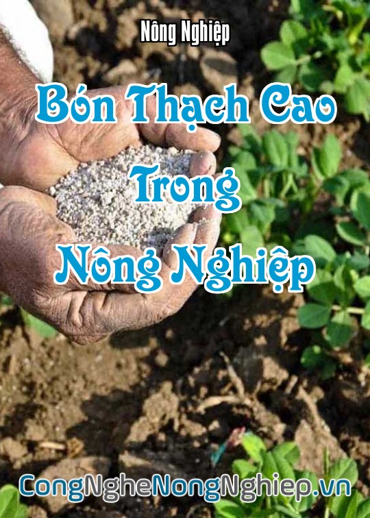 Ảnh bìa sách Bón Thạch Cao Trong Nông Nghiệp