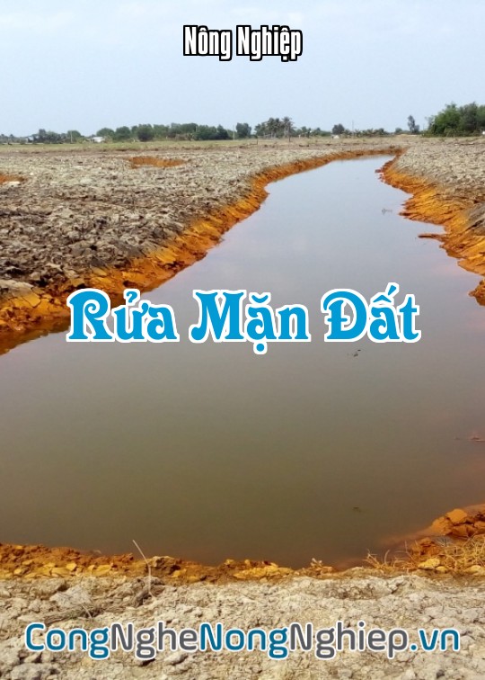 Ảnh bìa sách Rửa Mặn Đất