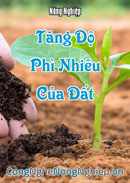 Ảnh bìa sách Tăng Độ Phì Nhiêu Của Đất
