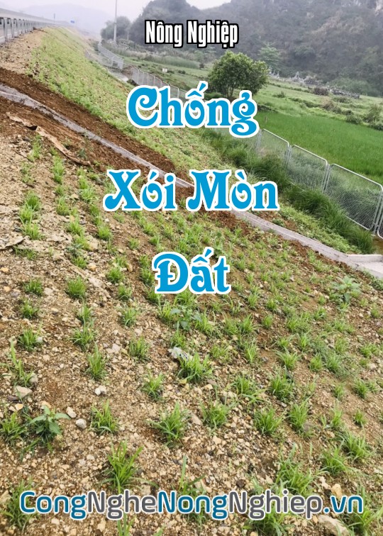 Ảnh bìa sách Chống Xói Mòn Đất