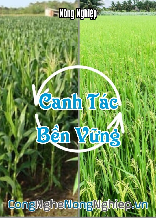 Ảnh bìa sách Canh Tác Bền Vững
