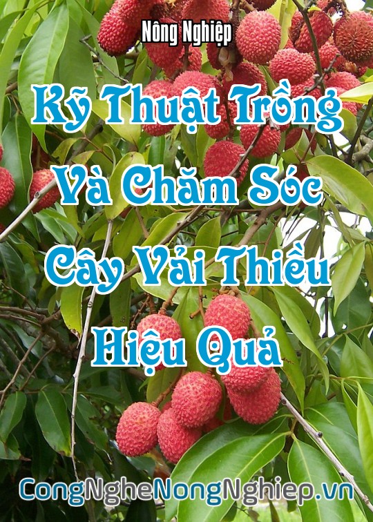 Ảnh bìa sách Kỹ Thuật Trồng Và Chăm Sóc Cây Vải Thiều Hiệu Quả