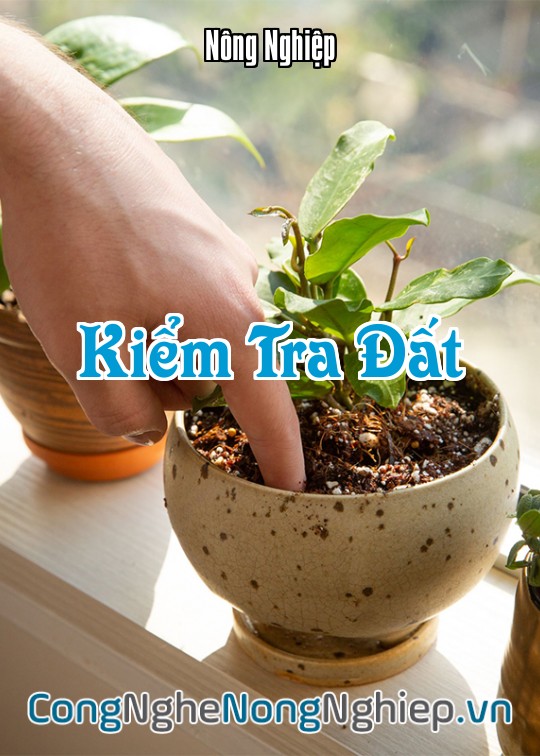 Ảnh bìa sách Kiểm Tra Đất