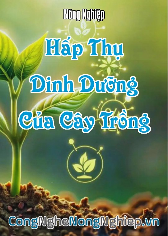 Ảnh bìa sách Hấp Thụ Dinh Dưỡng Của Cây Trồng