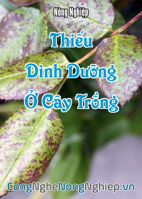 Ảnh bìa sách Thiếu Dinh Dưỡng Ở Cây Trồng