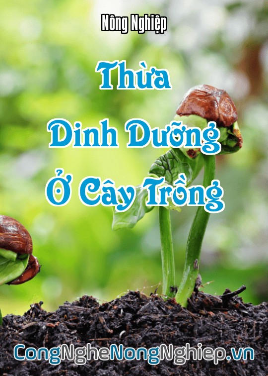 Ảnh bìa sách Thừa Dinh Dưỡng Ở Cây Trồng