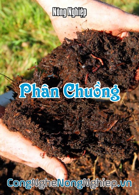Ảnh bìa sách Phân Chuồng