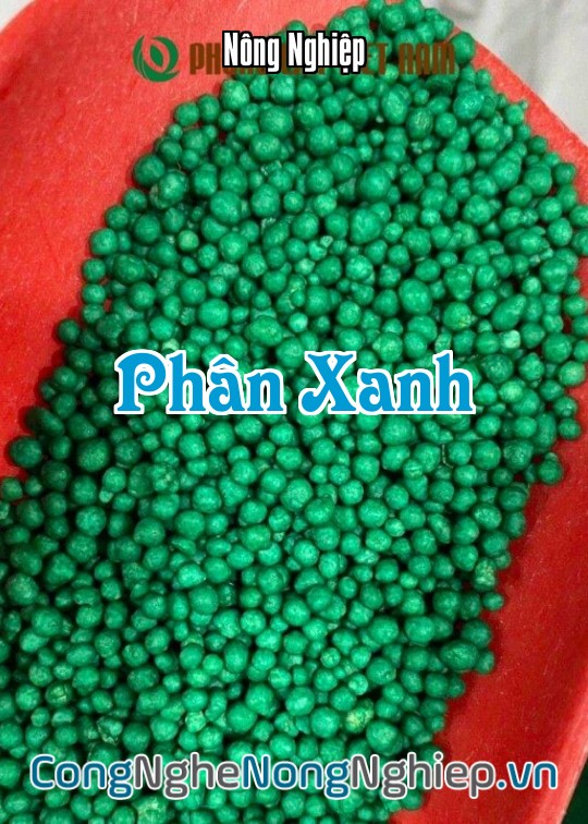 Ảnh bìa sách Phân Xanh