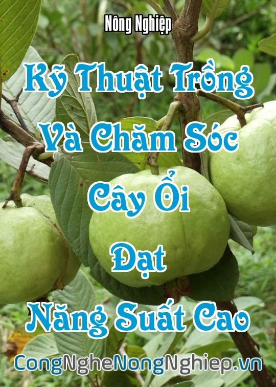 Ảnh bìa sách Kỹ Thuật Trồng Và Chăm Sóc Cây Ổi Đạt Năng Suất Cao