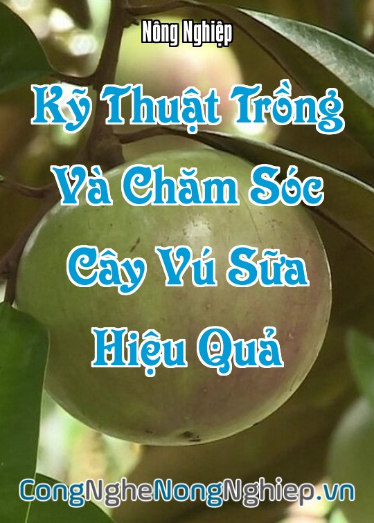 Ảnh bìa sách Kỹ Thuật Trồng Và Chăm Sóc Cây Vú Sữa Hiệu Quả