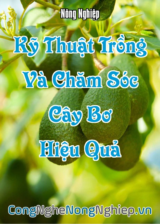 Ảnh bìa sách Kỹ Thuật Trồng Và Chăm Sóc Cây Bơ Hiệu Quả