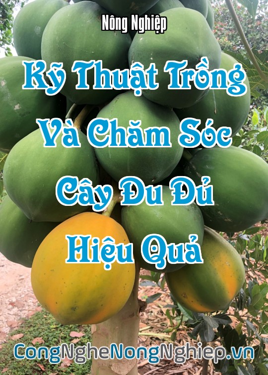 Ảnh bìa sách Kỹ Thuật Trồng Và Chăm Sóc Cây Đu Đủ Hiệu Quả