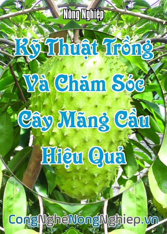 Ảnh bìa sách Kỹ Thuật Trồng Và Chăm Sóc Cây Mãng Cầu Hiệu Quả