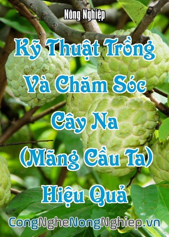 Ảnh bìa sách Kỹ Thuật Trồng Và Chăm Sóc Cây Na (Mãng Cầu Ta) Hiệu Quả
